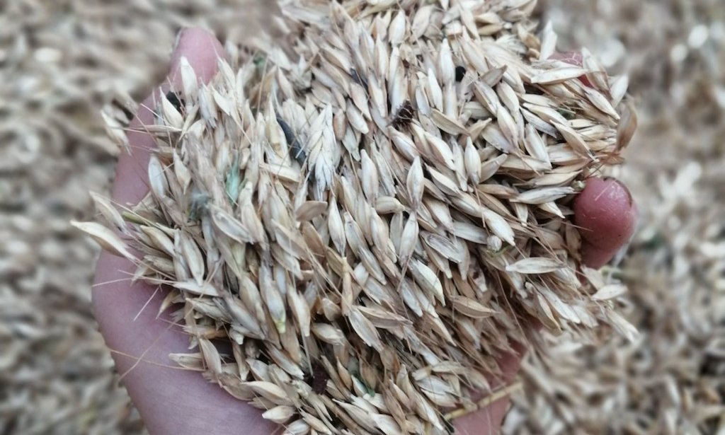 fournil du manege 2 (1)